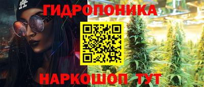 стаф Кулебаки