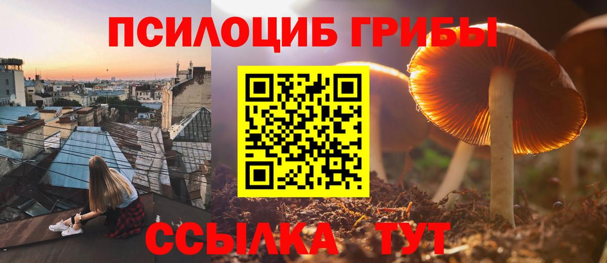 Псилоцибиновые грибы прущие грибы  дарнет шоп  Галлюциногенные грибы мухоморы  Калач-на-Дону  Вход с VPN 